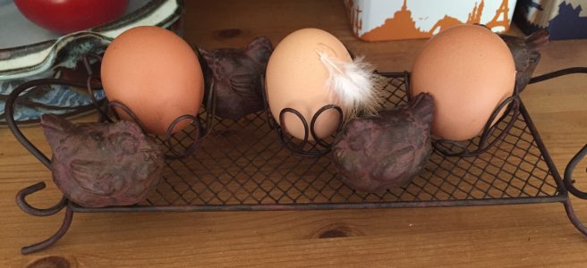 Seuilly, spiritual home, loire, touchdown, cuckoos, France, diywoman, chickens, travelling solo, Cinais, eggs, travel | See more at www.diywoman.net