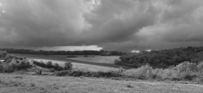 French countryside, Cinais - See more at www.diywoman.net