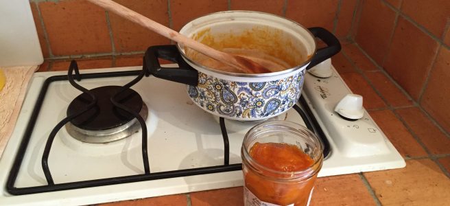cooking, mojo, apricot jam. France, Seuilly, travelling solo, diywoman,| See more at www.diywoman.net