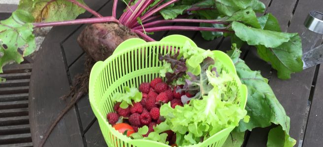 fresh, vegetables, raspberries, beetroot, garden, produce, France | See more at www.diywoman.net