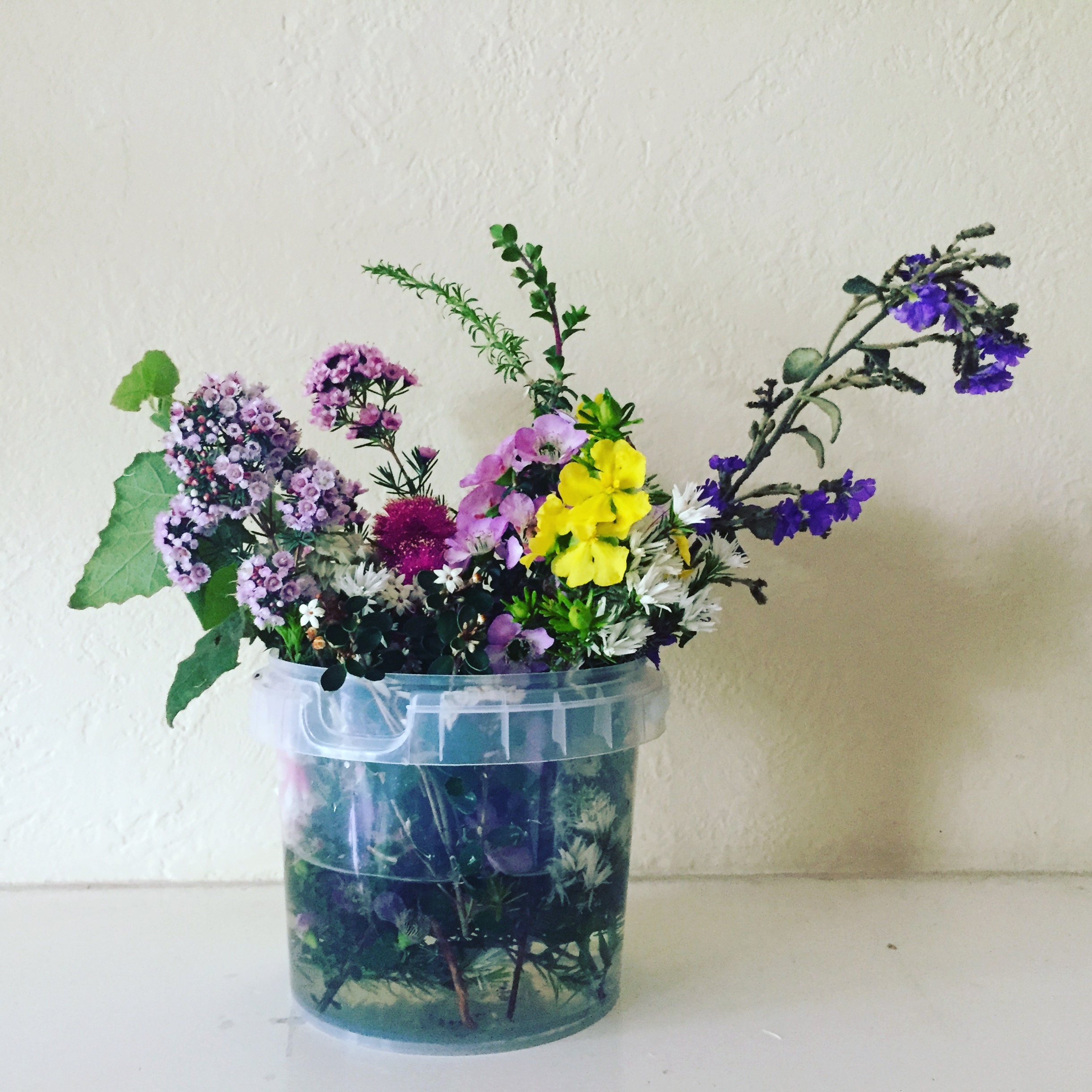 Native flowers, plastic bucket, white background | See more at www.diywoman.net