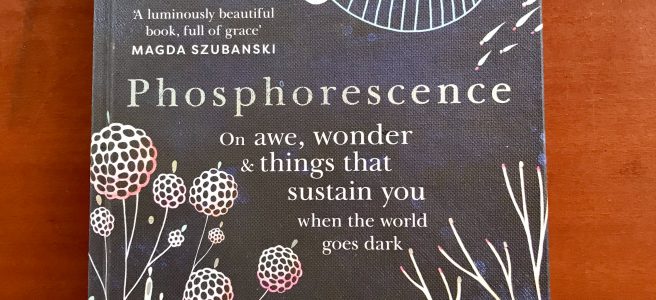 A book titled Phosphorescence by Julia Baird