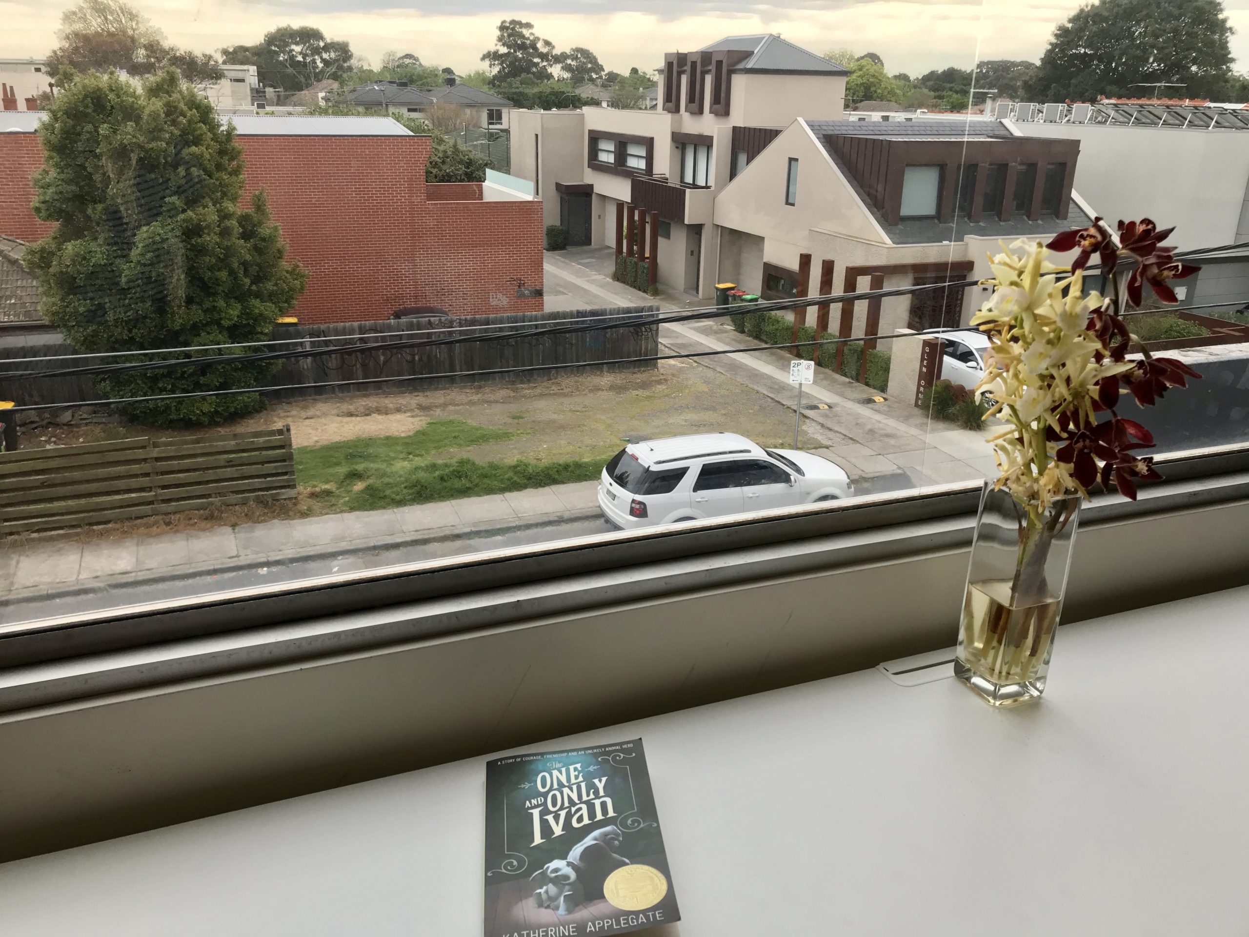 View out a window onto an empty street